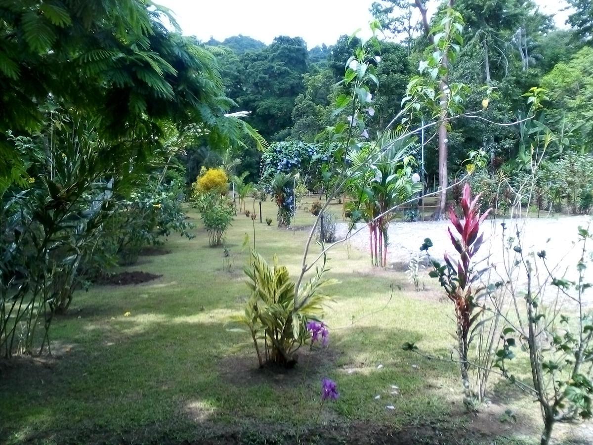 Puerto Vargas Lodge Cahuita Bagian luar foto